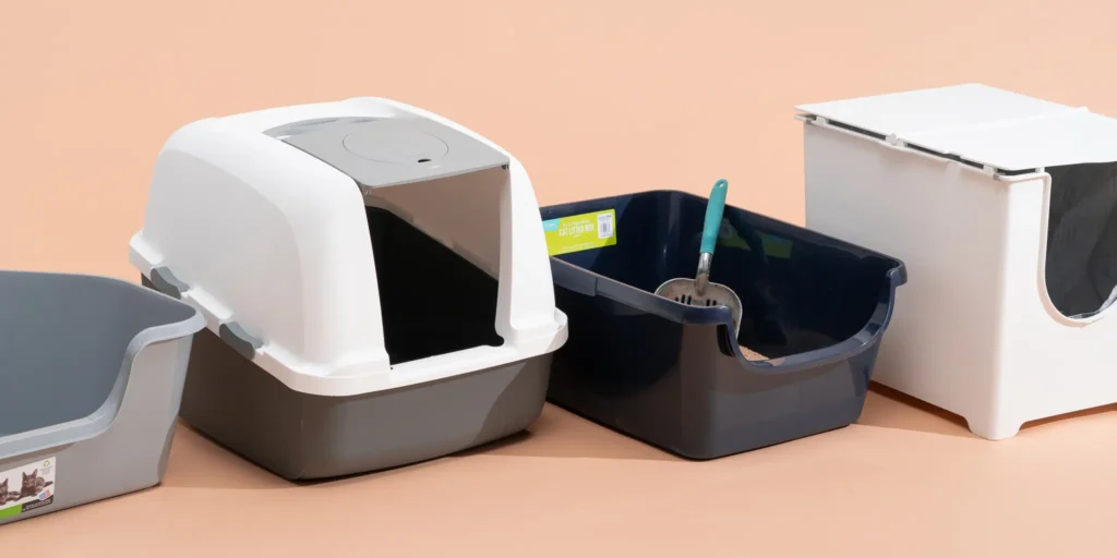 cat litter box