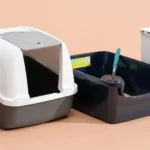 cat litter box