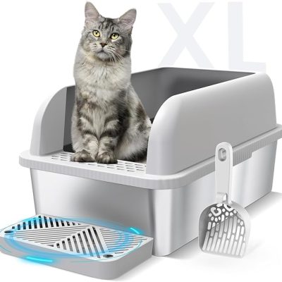 best litter box for cats