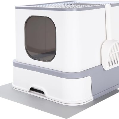 best kitty litter box